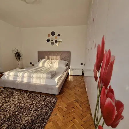 Gruia * Cluj-Napoca